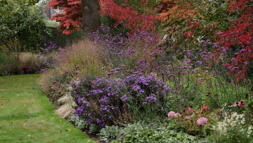 rośliny doniczkowe Białystok jesień