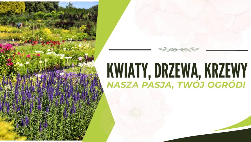 Szkółka roślin Kruszewscy w Fastach koło Białegostoku – szeroki wybór krzewów ozdobnych i drzewek